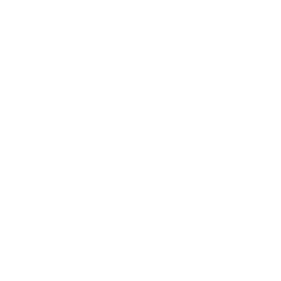 Donut icon
