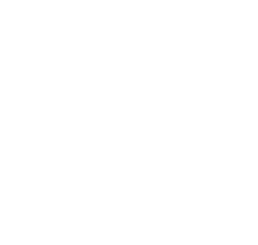 Cake icon